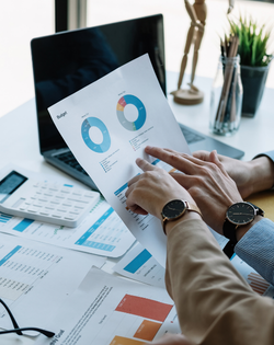 Business data visualisation