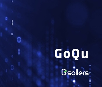 GoQu – Gosu Code Analyser by Sollers Consulting