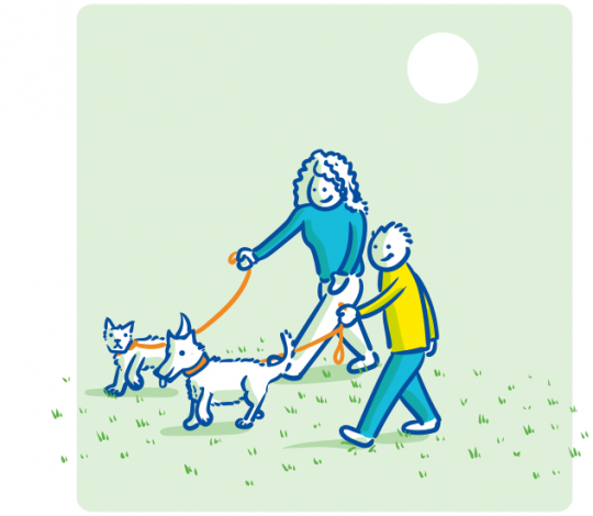 dogs